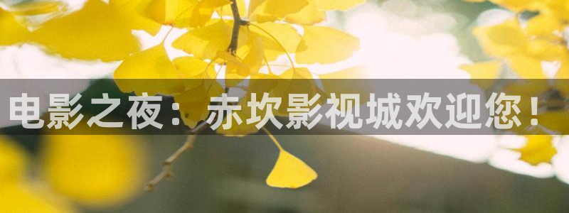 南瓜电影官方网站：电影之夜：赤坎影视城欢迎您！
