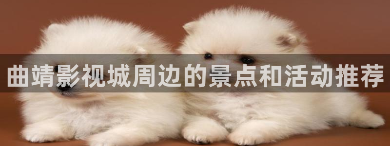南瓜电影南瓜影院南瓜影视大全：曲靖影视城周边的景点和活动推荐