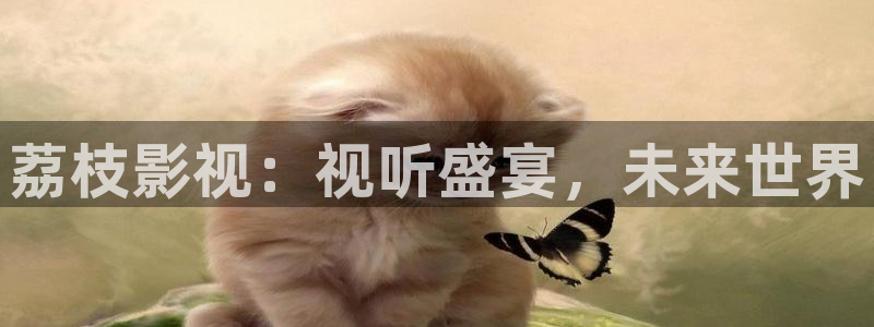 南瓜照片：荔枝影视：视听盛宴，未来世界