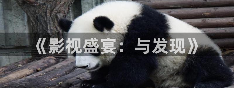 云南密本南瓜：《影视盛宴：与发现》
