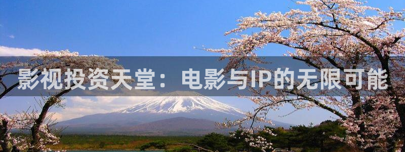 南瓜电影极速版：影视投资天堂：电影与IP的无限可能