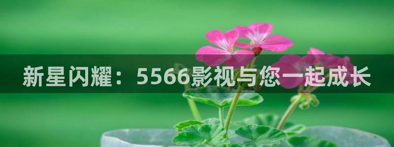 南瓜潍坊：新星闪耀：5566影视与您一起成长