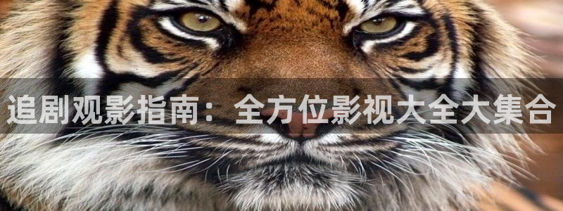 南瓜影院在线观看视频：追剧观影指南：全方位影视大全大集合